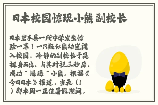 沈先生第二场最经典视频在线一区二区